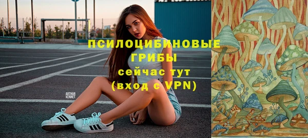 первитин Белоозёрский