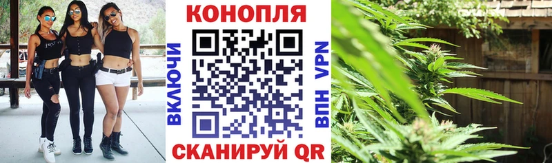 МАРИХУАНА сатива Йошкар-Ола